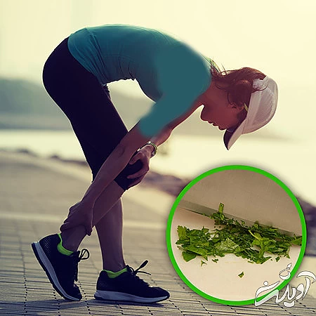 گیاهان دارویی برای لاغری،گیاهان دارویی و خواص آنها